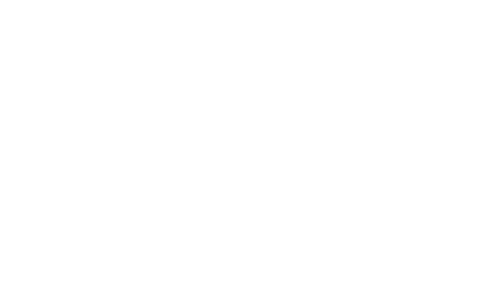 The Breastie